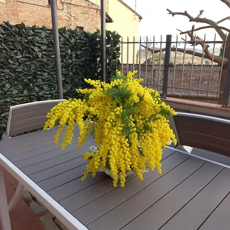 La Fornace Di Francesca - Alto * Certaldo